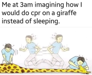 Stupid Bar Memes zsfunnys16
