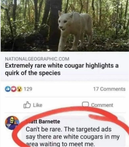 Stupid Bar Memes zsfunnys8