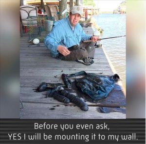 Stupid Bar Memes zsfuns112s1