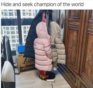 Stupid Bar Memes zsfuns212s2