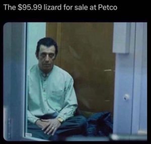 Stupid Bar Memes zsfuns254