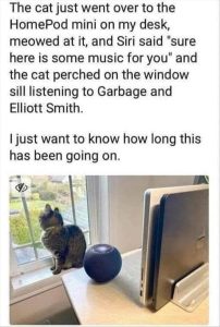 Stupid Bar Memes zsfuns58