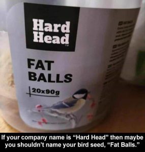 Stupid Bar Memes zsfuns62s1