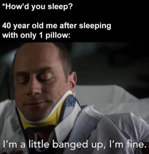 Stupid Bar Memes zsfuns67