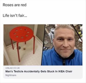 Stupid Bar Memes zsfuns73s1