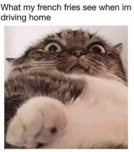 Stupid Bar Memes 00531681c198a5d7