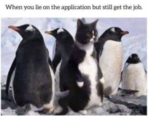 Stupid Bar Memes 00b1bc282beea4cc