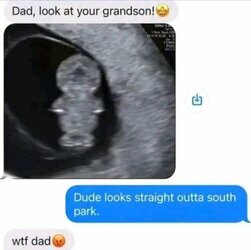 Stupid Bar Memes 049014e3676e11cd