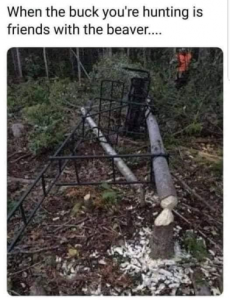 Stupid Bar Memes 06bc164debb4459e