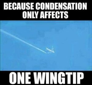 Stupid Bar Memes 0b7a2c757eea5792