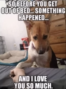 Stupid Bar Memes 0cac39197d422cd5