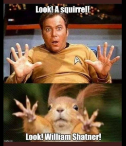 Stupid Bar Memes 10ecd531026cef9c