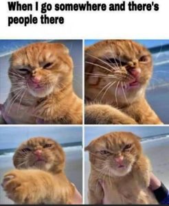 Stupid Bar Memes 130bde67c7cb6374