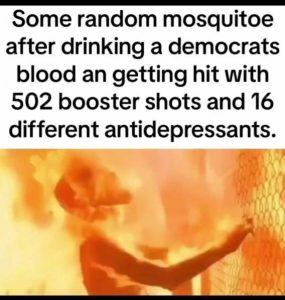 Stupid Bar Memes 1373225215396ba3
