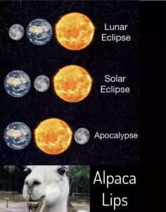 Stupid Bar Memes 146a31268c23a421