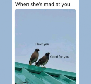 Stupid Bar Memes 17080eaa3a6b03a2