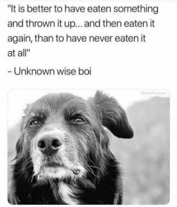 Stupid Bar Memes 17a99b2fcd8df349