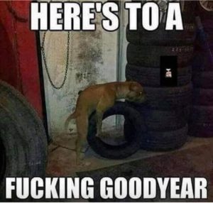 Stupid Bar Memes 199fe156b29baccf