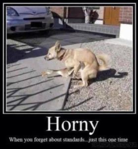Stupid Bar Memes 1cbaf1f4a9dc17c0
