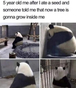 Stupid Bar Memes 1ec9cabb6d09d763