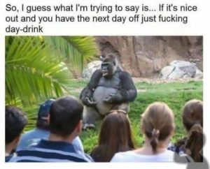 Stupid Bar Memes 21125e7e94cccc42
