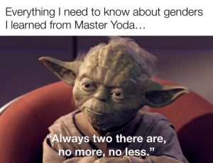 Stupid Bar Memes 21f15a23fe1a9b6c
