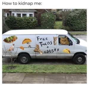 Stupid Bar Memes 227e59fa1b3ed8fd