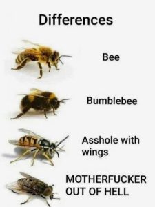 Stupid Bar Memes 23709f05b4f7a09a