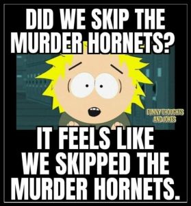 Stupid Bar Memes 238c71fbbda673a5