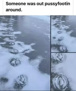 Stupid Bar Memes 23f672fbe615f90f