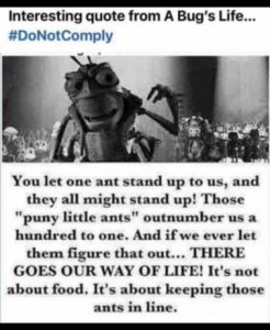 Stupid Bar Memes 27cbdbf609964d71