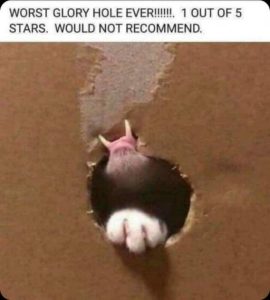 Stupid Bar Memes 27f4f0b7ee47ea72