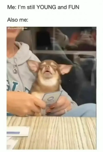 Stupid Bar Memes 27sAndsTiredsMemessInstagrams1