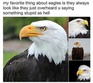 Stupid Bar Memes 2ca4ed6494b53e59