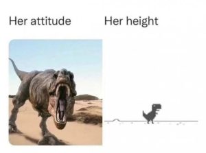 Stupid Bar Memes 2f64a2a9b50739ed