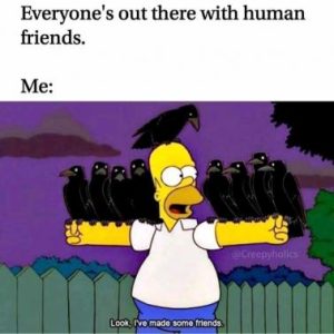 Stupid Bar Memes 30248ca798938233