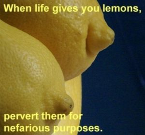 Stupid Bar Memes 30f8b7a38cc5435b