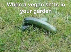 Stupid Bar Memes 3116e952e2b19bca