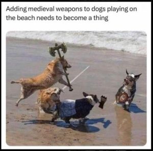 Stupid Bar Memes 319995bd1b3d5bb5