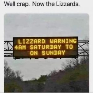 Stupid Bar Memes 361d34f28e178f1a