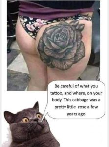 Stupid Bar Memes 36dd9d89ce0d0844