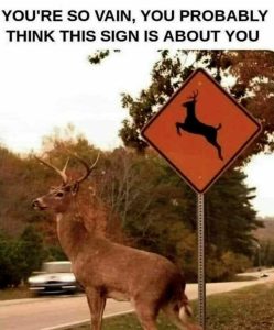 Stupid Bar Memes 38458f5a2230c8d0
