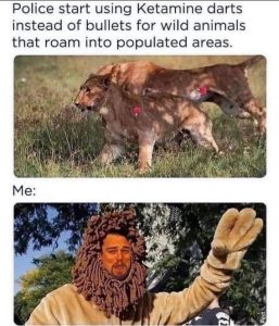Stupid Bar Memes 39ba48667d2b0fca
