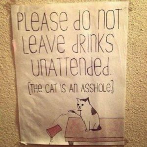 Stupid Bar Memes 3aed176ed389ecf7