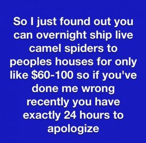 Stupid Bar Memes 3ea051ddf4bd74b2