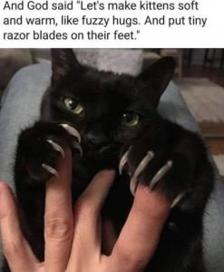 Stupid Bar Memes 435f3e22ca3e0278