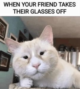 Stupid Bar Memes 44327f3a7f83a32e