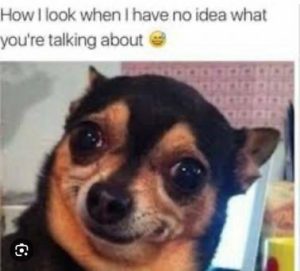 Stupid Bar Memes 452fc6ce7f69bc12