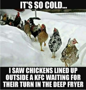 Stupid Bar Memes 46bf539a96e25d83