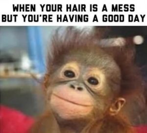 Stupid Bar Memes 47e8b205033dd1ba